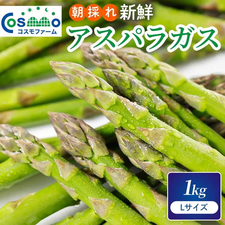 朝採り新鮮アスパラガス 1kg【Lサイズ】 | 野菜 アスパラガス グリーンアスパラ 旬 とれたて 春野菜 春 朝採り 朝採れ とれたて 新鮮 みずみずしい サラダ 甘い お取り寄せ 産地直送 冷蔵 岐阜県 瑞穂市