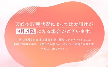 【2025年先行予約】飛騨のたからもも 特上 糖度15度以上（2玉）| 朝採り 桃 もも 極上の甘さ 濃厚 甘い 贈答 農家直送 飛騨の朝採り桃 飛騨高山 つむぎ果樹園 GH014