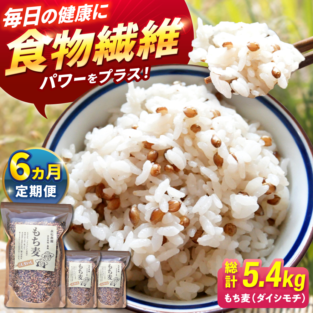 【6回定期便】白石産 もち麦 900g（300g×3袋）/回（総計5.4kg）【道の駅しろいしカンパニー】 [IAA035]