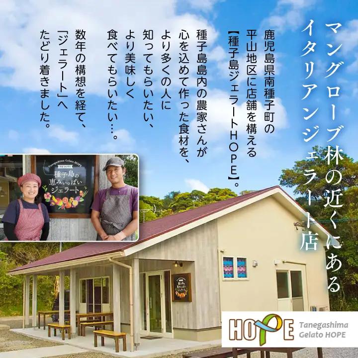 ディレットグラス6個入り【種子島ジェラートＨＯＰＥ】