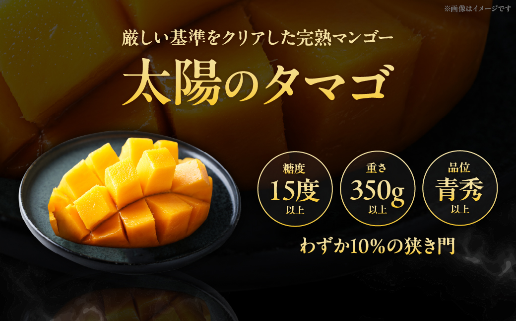 完熟マンゴー『太陽のタマゴ』２玉（約１kg）【JA綾町】_A0114-1001