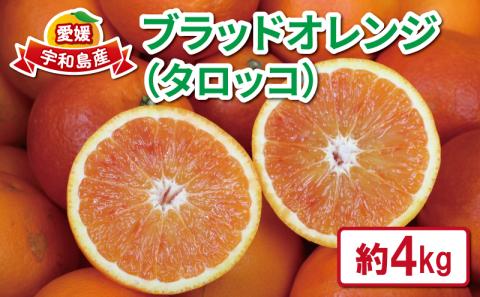 ブラッドオレンジ タロッコ 4kg ブラッド オレンジ 愛媛みかん オレンジ つばさ農園 ブラッド オレンジ B010-048003