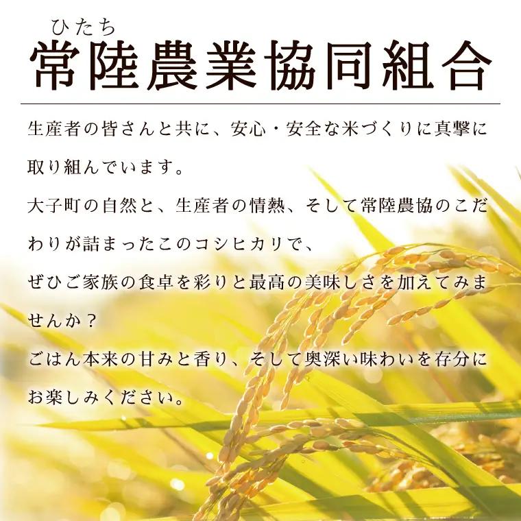 令和7年産　常陸農協の大子町産コシヒカリ5kg｜茨城県 大子町 お米 白米 精米 こしひかり ふっくら もっちり コンテスト受賞（AH012）