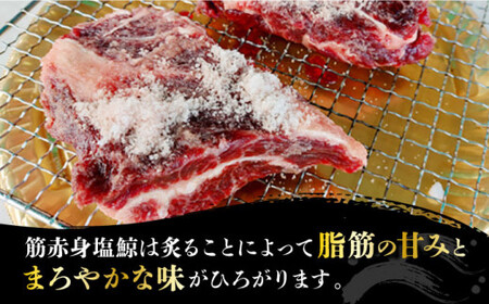【新感覚！炙りでいただく鯨】 新！炙り用 塩赤身鯨セット 500g（塩赤身鯨300g/炙り用塩赤身鯨 200g） 《小値賀町》【 中島（鯨）商店】 [DBM001] 鯨 クジラ肉 鯨肉 海鮮 おつまみ