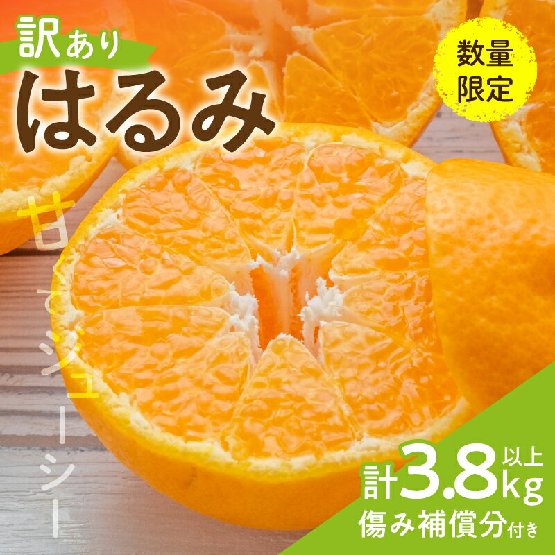 【ふるさと納税】先行予約 訳あり はるみ 計3.8kg以上 傷み補償分付き 令和8年発送 期間限定 数量限定 フルーツ 果物 くだもの 柑橘 みかん オレンジ 国産 食品 デザート ジュース おやつ 希少 家庭用 不揃い 傷 規格外 訳アリ おすすめ おすそ分け 宮崎県 日南市 送料無料