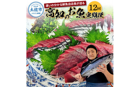 【12回定期便】違いの分かる鮮魚店店長が送る 高知のお魚定期便！！お申込翌月より12回お届け お楽しみ 定期便 魚 海鮮 魚介 カツオのタタキ 鰹 タイ カンパチ ウツボ【さかなの森澤　マル祐】 [BQAM007]