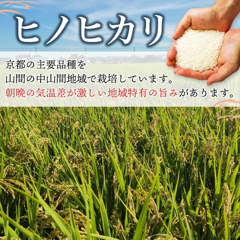 京田辺市産 ヒノヒカリ 10kg R7年度産 お米 米 こめ コメ 精米