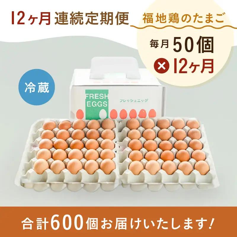 【12ヶ月連続お届け】福井ブランド「福地鶏」の卵 50個 濃厚で甘くておいしい！（25個入×2段）定期便 ／ 卵 たまご 鶏卵 生卵 有精卵 高級 高級卵 福地鶏 鶏 平飼い 美味しい こだわり 12