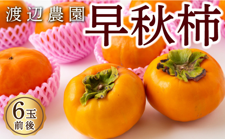 
            【先行予約】 渡辺農園 早秋柿 6玉前後 【2025年9月下旬から10月上旬 出荷予定】 柿 かき カキ 早秋 そうしゅう 果物 くだもの フルーツ 果実 ジューシー お取り寄せ 福岡県 うきは市
          