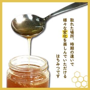 蜂蜜 1kg するが蜂蜜 秋山養蜂