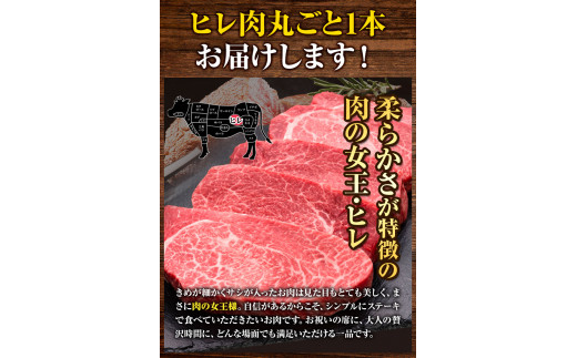 博多和牛 ヒレ肉丸ごと1本 約3.5kg 久田精肉店株式会社《30日以内に出荷予定(土日祝除く)》---sc_chsdhire_30d_23_250000_3500g---