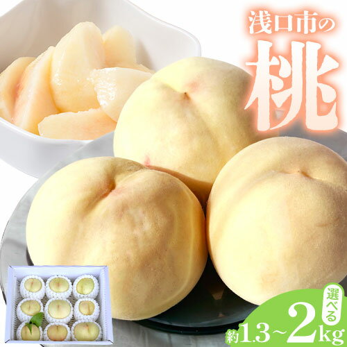 【ふるさと納税】浅口市産 白桃 約1.3kg(5〜6玉) 約2kg(7〜9玉) SUEHIRO農園《6月下旬-8月末頃出荷》岡山県 浅口市 フルーツ モモ 果物 青果 旬 白桃 国産 岡山県産