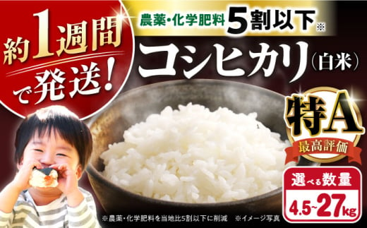 令和6年産  湖北産 コシヒカリ 9kg(白米) 令和6年産  選べる容量　長浜市/株式会社エース物産[AQAK004] 米 お米 ご飯 ごはん ゴハン 近江米 滋賀県 すぐ すぐ発送 すぐ届く すぐ来る