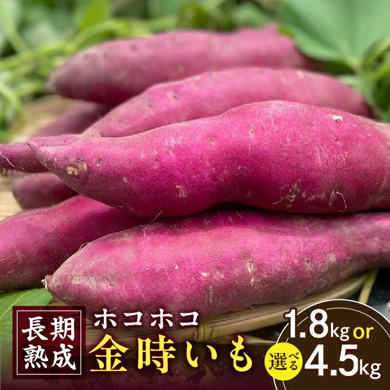 【ふるさと納税】《容量が選べる》長期熟成 ホコホコ金時いも ・H060-SKU いも 金時いも さつまいも 野菜 根菜 根野菜 農作物 農産物 料理 材料 和食 煮物 惣菜 特産品 特産 お取り寄せ グルメ おすそ分け 普段使い 贈り物 贈答 愛知県 西尾市