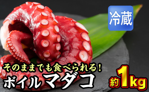 【冷蔵】ボイルマダコ 約１kg（250g × ４袋）セット（到着日時指定必須商品） 小分け 旨味凝縮 ぷりぷり ふっくら やわらか たこ タコ　蛸 旨味凝縮 たこ タコから揚げ タコの唐揚げ たこ焼き タコ焼き 酢だこ 正月 おせち つまみ 肴 茹で ボイル おかず おつまみ 簡単 調理 三重県尾鷲市 人気 大満足 返礼品 MT-8