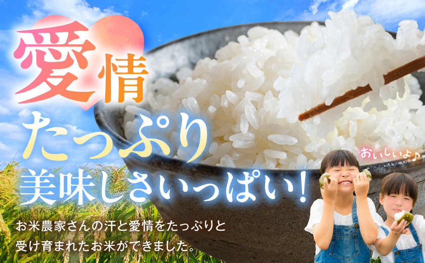 ≪6回お届け!≫都城産米と国産米ブレンド 5kg_T66-6-33-001-5kg
