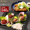 【ふるさと納税】6種馬肉バラエティ 約540g (赤身切り落とし・コウネ・フタエゴダイス・線切り(ユッケ)・桜うまトロ・馬肉ハンバーグ・タレ・おろしポン酢・ユッケのタレ・万能和風ソース) 馬刺し 馬刺 食べ比べ 熊本県 湯前町 送料無料