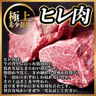 【2ヵ月毎定期便】飛騨牛 ヒレ1本(約3～4kg)【シャトーブリアン＆ヒレ】A4～A5黒毛和牛全3回【配送不可地域：離島】