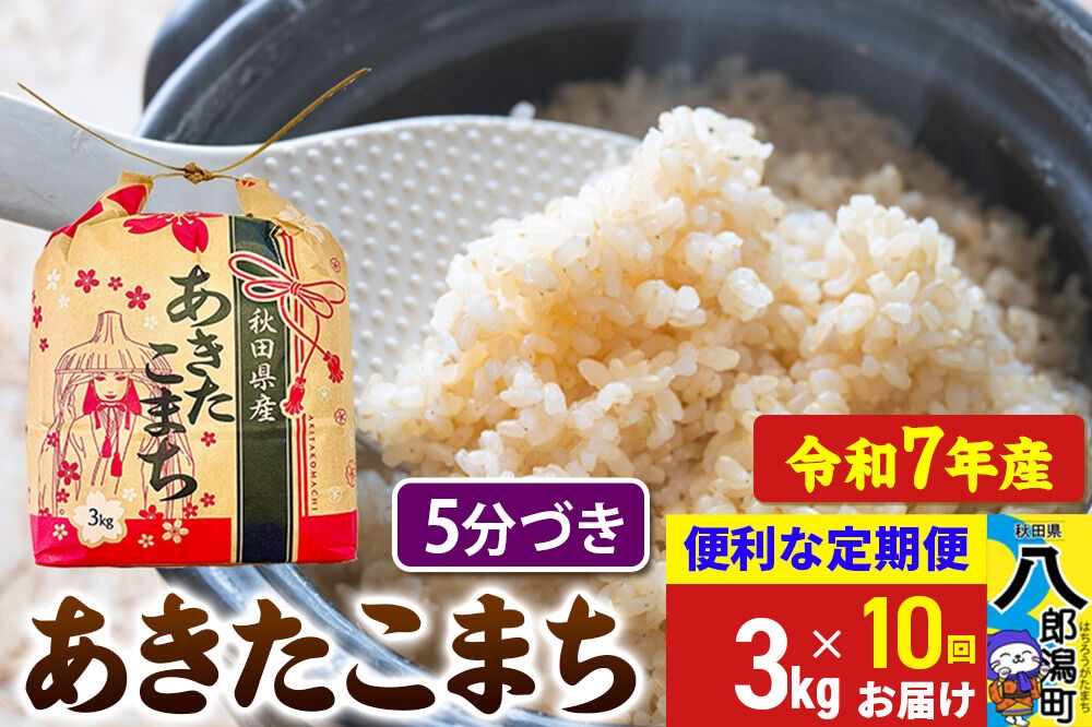 
                  《定期便10ヶ月》 あきたこまち 3kg×1袋【5分づき】令和7年産 秋田県産 こまちライン [こまちライン あきたこまち ブランド米 お米 5分づき 精米 米どころ 秋田 秋田県産]
                