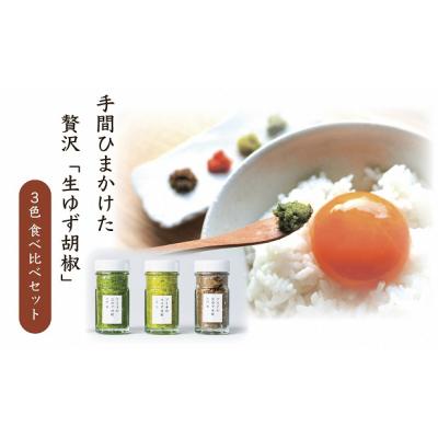 ふるさと納税 宗像市 【一週間以内に発送】「フミ子の生ゆず胡椒」3本セット※色変更も可能【フミ子印】_HA1414