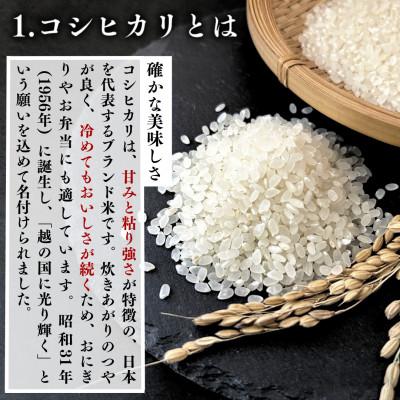 ふるさと納税 矢吹町 【発送月固定定期便】福島県 矢吹町 無洗米 農家直送 コシヒカリ 5kg全3回 |  | 01