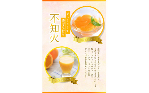 ＜先行予約＞家庭用 不知火 4kg+150g（傷み補償分）【デコポンと同品種・人気の春みかん】【訳あり】＜2月より発送＞ ※北海道・沖縄・離島への配送不可 フルーツ 果物 くだもの 柑橘 和歌山【ik