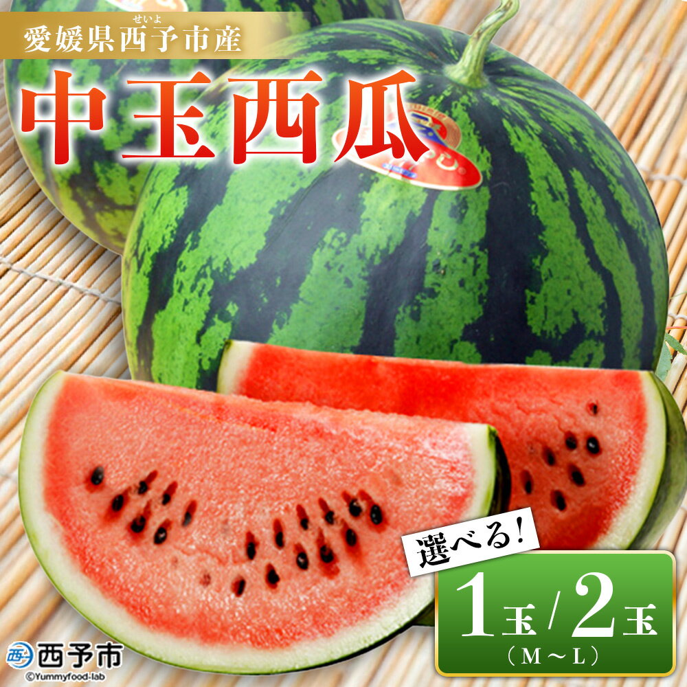【ふるさと納税】スイカ ＜愛媛県西予市産 中玉西瓜 1～2玉＞ 果物 くだもの 果肉 フルーツ 西瓜 すいか 中玉 中玉すいか 中玉スイカ M～L 5～7kg 高糖度 甘い 季節物 食べて応援 国産 特産品 宇都宮物産 愛媛県 西予市【常温】『2025年7月上旬～8月上旬迄に順次出荷予定』