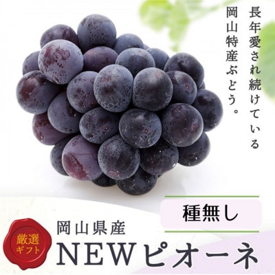 岡山県産　ニューピオーネ4房(1房480g以上)【配送不可地域：離島・北海道・沖縄】【1514899】