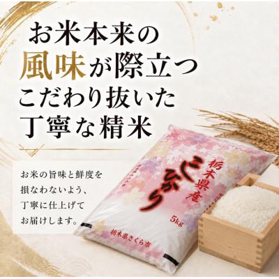 ふるさと納税 さくら市 【令和8年産新米】【食味鑑定士厳選】栃木県産 コシヒカリ 10kg(5kg×2袋)(さくら市) |  | 01