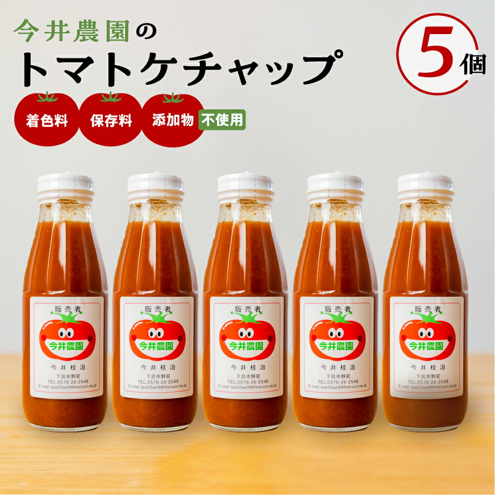 【ふるさと納税】【今井農園】トマトケチャップ 5個セット（380g×5個）とまと 完熟トマト ケチャップ トマトソース ギフト 贈答品 贈り物 プレゼント ジュース 野菜 お中元 父の日 母の日 敬老の日 13000円 岐阜県 下呂市