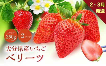 ベリーツ 250g前後 × 2パック ( 2月以降発送 ) | いちご ベリー フルーツ 果物 大分県 中津市