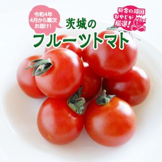 トマト好きにはこれだっぺ！この時期にしかない茨城のフルーツトマト！【令和4年4月から順次お届け】田舎の頑固おやじが厳選！