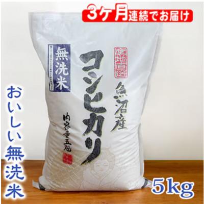 ふるさと納税 魚沼市 【毎月定期便】お米マイスター厳選(無洗米)魚沼産コシヒカリ100% 5kg全3回
