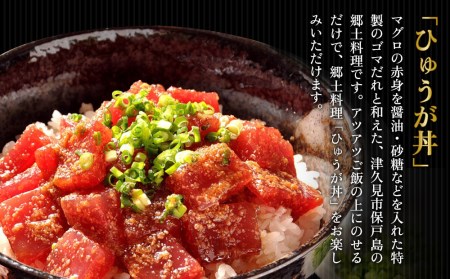 まぐろ漁師飯セット マグロ（ひゅうが丼）・ねぎとろセット ねぎとろ 鮪丼 まぐろ 大分県産 九州産 津久見市 国産 【tsu000302】