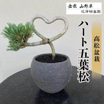ふるさと納税 香川県 五葉松　ハート