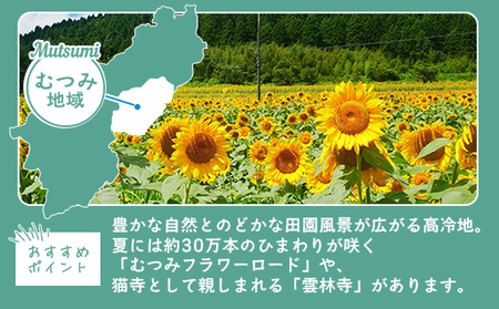山口県萩市への応援寄付金[返礼品なし] 20,000円分