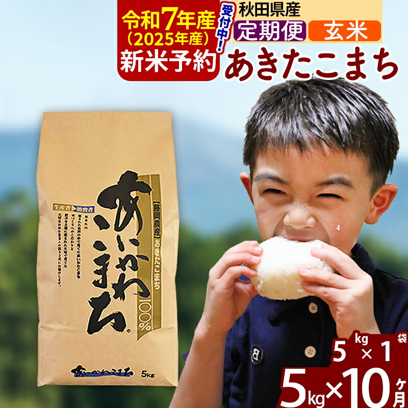 【ふるさと納税】※令和7年産 新米予約※《定期便10ヶ月》秋田県産 あきたこまち 5kg【玄米】(5kg小分け袋) 2025年産 お届け周期調整可能 隔月に調整OK お米 藤岡農産