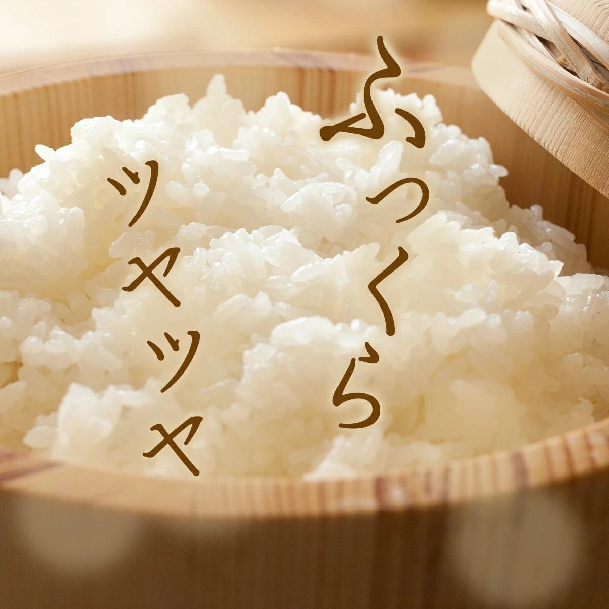 【数量限定】令和7年産 鏡野町産 コシヒカリ 精米 10kg（2kg×5袋）【訳あり】033-a015