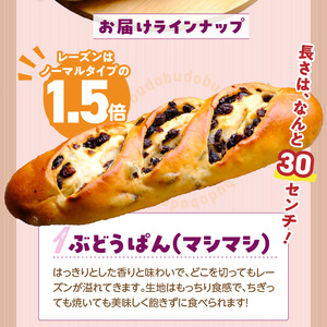 ぶどうぱんマシマシと塩ぱん　堪能セット _ ぶどうぱん 専門店 ぶどぱん 堪能 セット ぶどうぱん 1個 370g前後 塩ぱん × 2個 1個あたり70g前後 レーズン マシマシ しっとり もっちり 