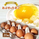 【ふるさと納税】おぶせのたまご20個　 鶏卵 平飼い 平飼い卵 食材 卵かけごはん TKG 玉子焼き オムレツ 目玉焼き 　お届け：2023年11月13日から順次出荷（月～金 ※祝を除く）