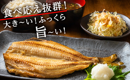 【 北海道 の 居酒屋 気分!】 一夜干し 開き ホッケ ( 4枚 )【配送不可地域：離島】【1301848】