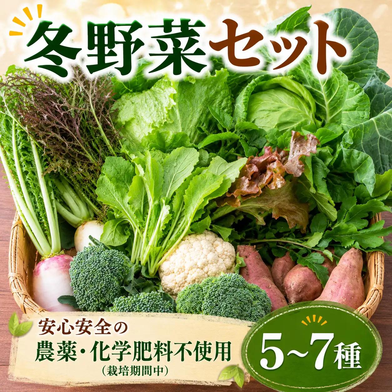 【先行予約】 訳あり 野菜セット 冬 5～7種類 2027年1月上旬以降発送 【 野菜セット 】