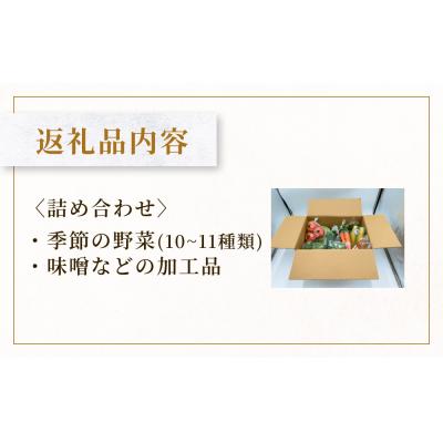 ふるさと納税 石巻市 水沢種苗店おススメ新鮮野菜・加工品セット |  | 01
