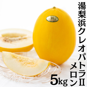メロン 5kg 4玉 － 6玉 クレオパトラ 2 湯梨浜 | 19M
