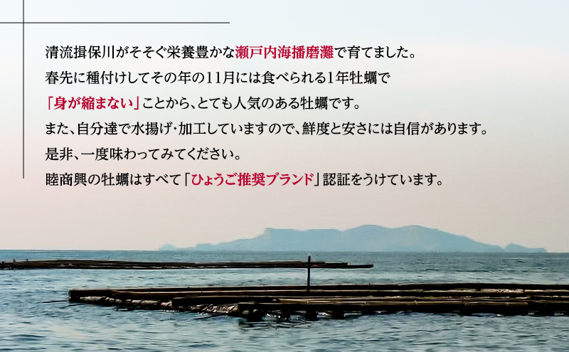 【2026年1月より順次出荷予定勤成丸の牡蠣 殻付き牡蠣 5.0kg [ 生牡蠣 かき カキ 殻付 加熱調理用 真牡蠣 国産 ] 兵庫県 姫路市