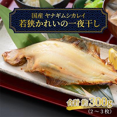 ふるさと納税 小浜市 皇室献上の若狭かれ3枚入り |  | 01