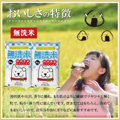 ふるさと納税 大館市 【定期便3ヶ月】令和7年秋田県産あきたこまち(無洗米)　10kg |  | 01