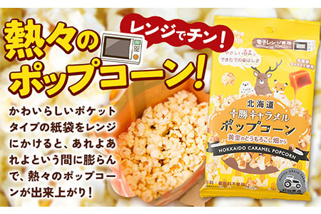 北海道十勝 前田農産黄金のとうもろこし電子レンジ専用「十勝キャラメルポップコーン」計10袋 有限会社 十勝太陽ファーム《60日以内に出荷予定(土日祝除く)》 ポップコーン　キャラメルポップコーン　北海