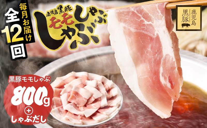 
                  【全12回定期便】鹿児島県産黒豚モモしゃぶしゃぶセット しゃぶだし付 （黒豚モモ400g×2P） 800g　KN054-T21
                