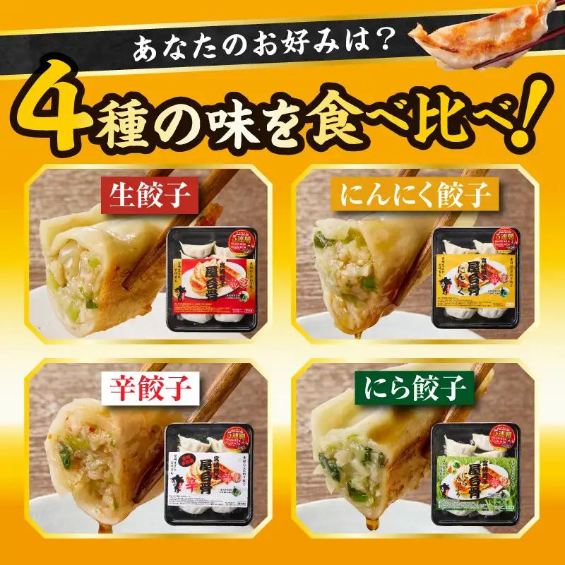 市場で製造直売の餃子！ 4パックセット 餃子 ギョウザ ぎょうざ ブランドポーク 生餃子 にんにく餃子 辛餃子 ニラ餃子 冷凍 屋台骨
